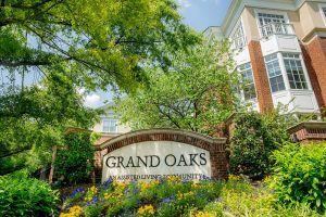Story of Grand Oaks 1